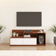 Vector TV Unit | 55 Inch TV | Walnut and Frosty White