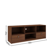 Esma TV Unit- Walnut