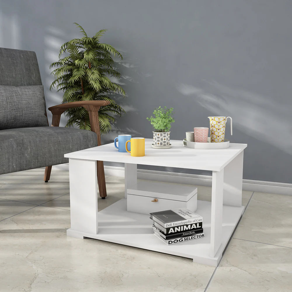 Foxtail Coffee Table - Walnut