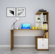 Study Table (Large) - woodbuzz.in