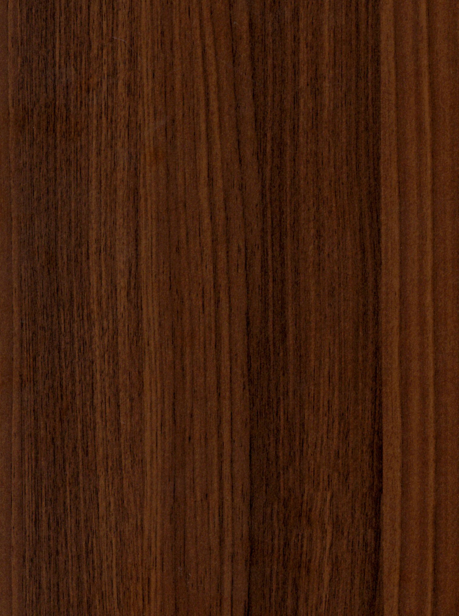 Oberon Side Crockery Unit | Large | Walnut